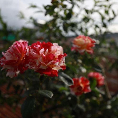 Homestay Doc Tinh Далат Экстерьер фото