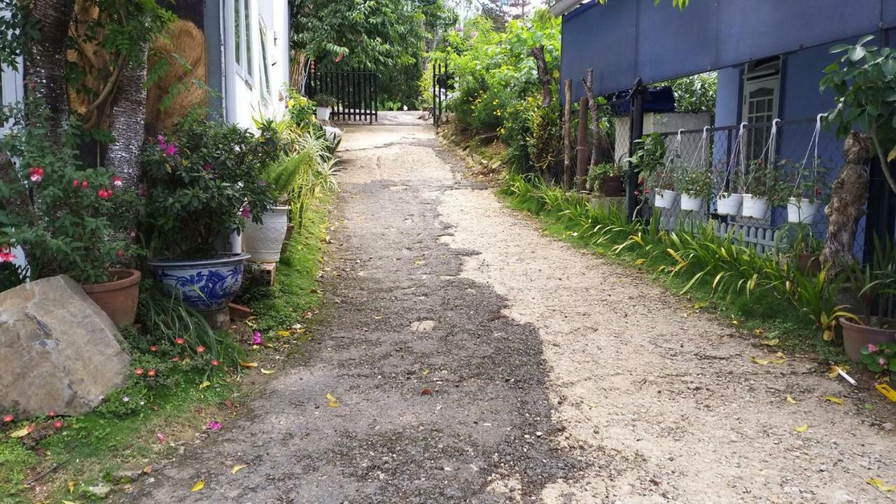 Homestay Doc Tinh Далат Экстерьер фото